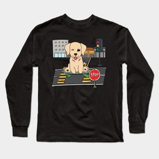 Funny golden retriever is on a skateboard Long Sleeve T-Shirt